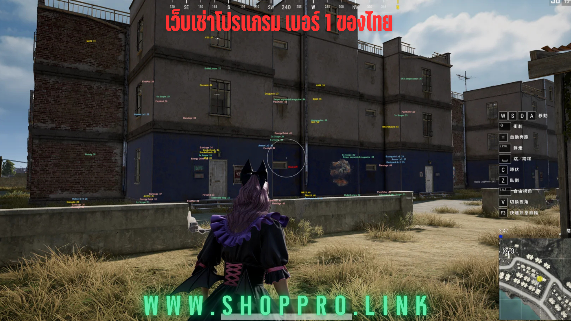 PUBG STEAM Vortex